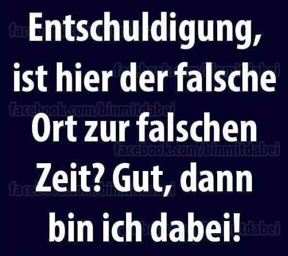 freierPirat 🏴‍☠️ tweet media