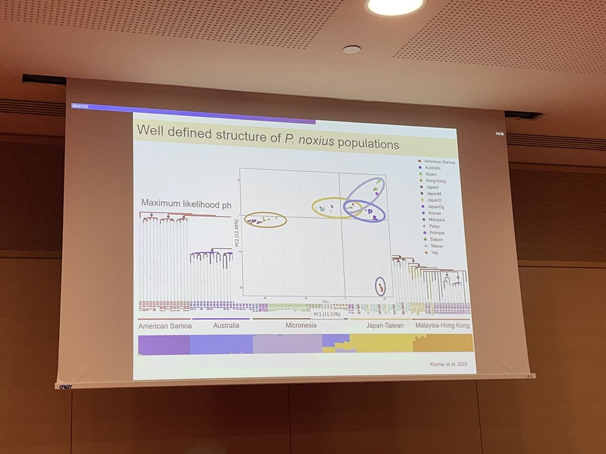 TreeHealthDoc's tweet photo. @olga_kozhar started emergence of pathogens in commercial &amp; public #forest systems session on a high note by discussing important #tropical 🌍 #pathogen affecting over 200 spp., #Phellinus noxious. 

Is it newly introduced or not? More info 👇

https://t.co/vDrBGHZBOB

#ICPP2023 https://t.co/rcgqFAUduk