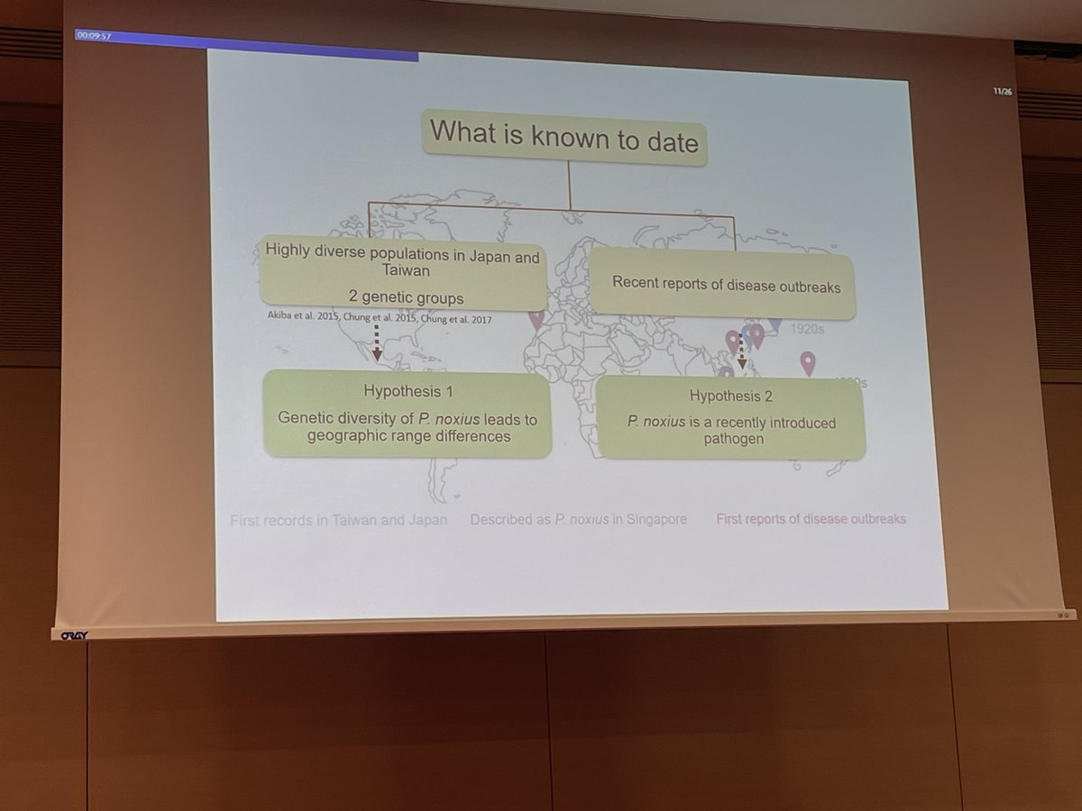 TreeHealthDoc's tweet photo. @olga_kozhar started emergence of pathogens in commercial &amp; public #forest systems session on a high note by discussing important #tropical 🌍 #pathogen affecting over 200 spp., #Phellinus noxious. 

Is it newly introduced or not? More info 👇

https://t.co/vDrBGHZBOB

#ICPP2023 https://t.co/rcgqFAUduk