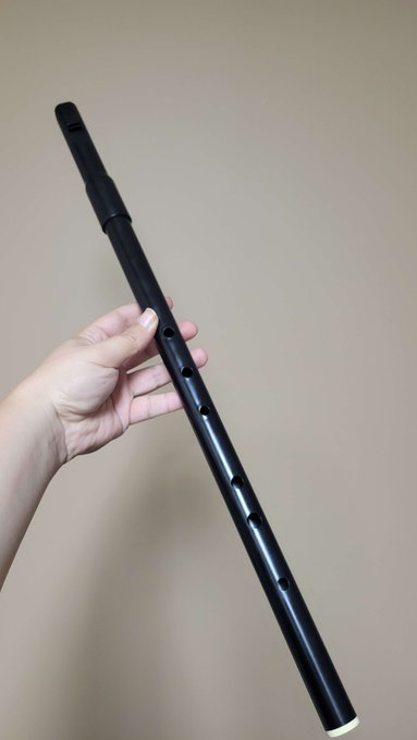 Went out with my girlfriend earlier to get a guitar set up, and she got me this cool low whistle.  Can't