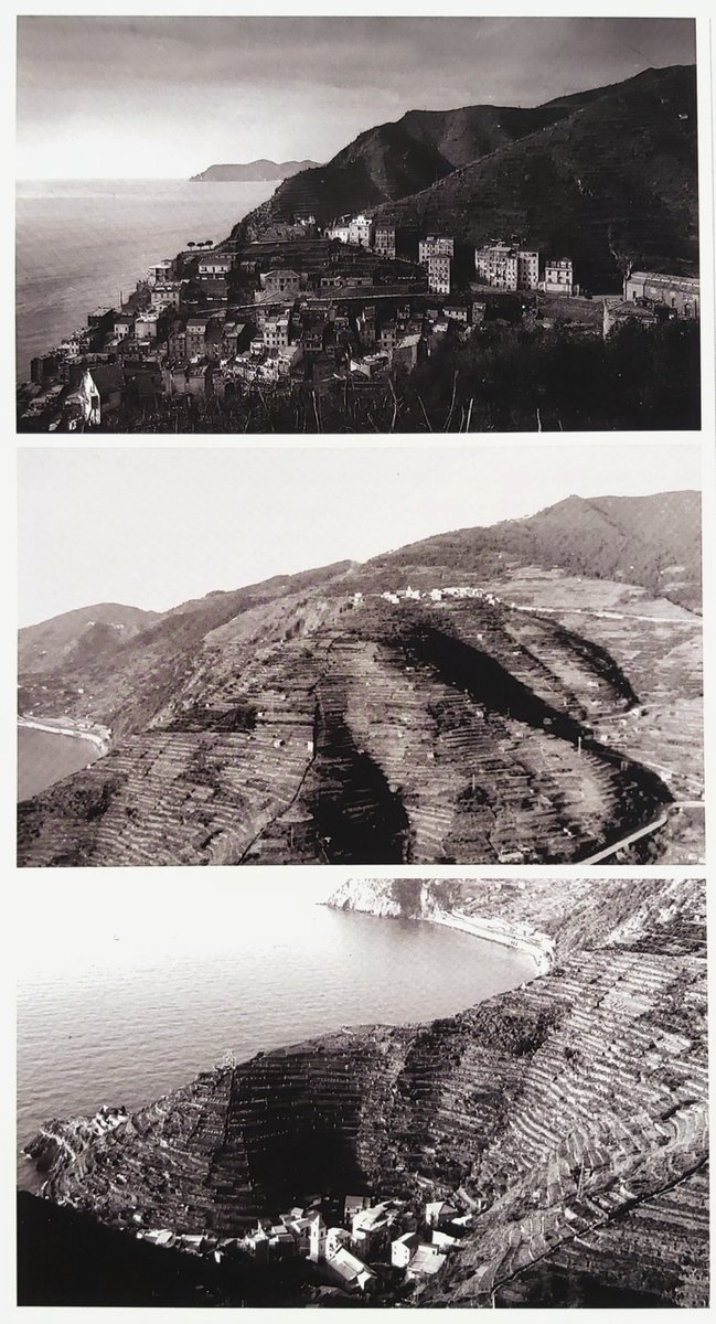 stonewallsforlife tweet media