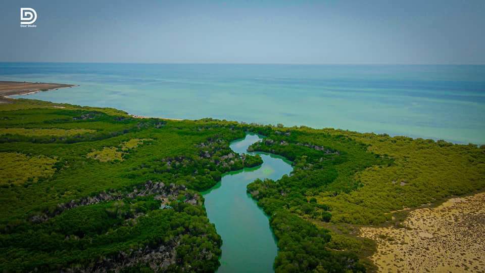 SeerahaG's tweet photo. Learn about the Awdal Islands on the coast of the city of Zeila ~ Saylac.
Some of them were inhabited, others have archaeological sites that are steeped in history like the rest of the city, and some others are sea rocks high above sea level.
Total number is 9 https://t.co/DiFYeO2E5z