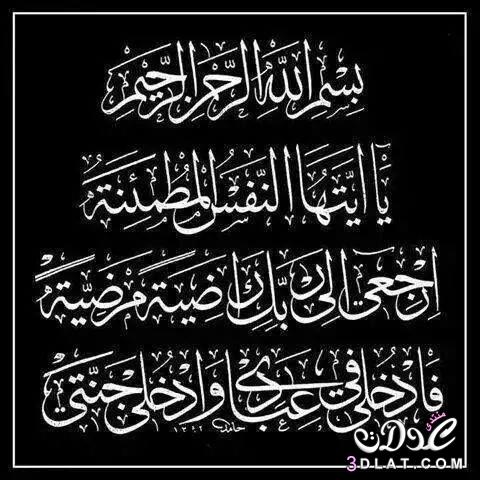 Dr. Maryan Qasim tweet media