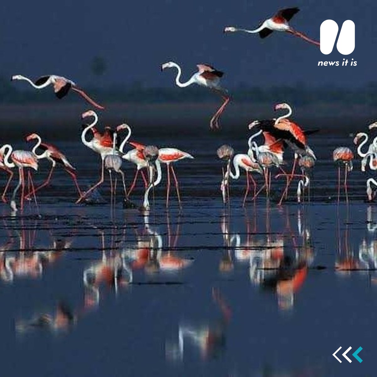 Newsitisoff's tweet photo. This expansion is a vital component of a master plan developed by Marine Infrastructure Development Private Limited and Special Economic Zone Limited Company, subsidiaries of Adani Ports. The purpose of the Rs 53,400 crore plan is to not only develop the port. https://t.co/YnCQ501I6M