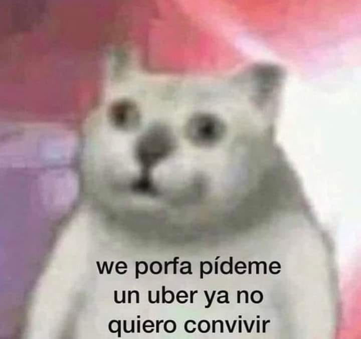Jajaja yo totalmente