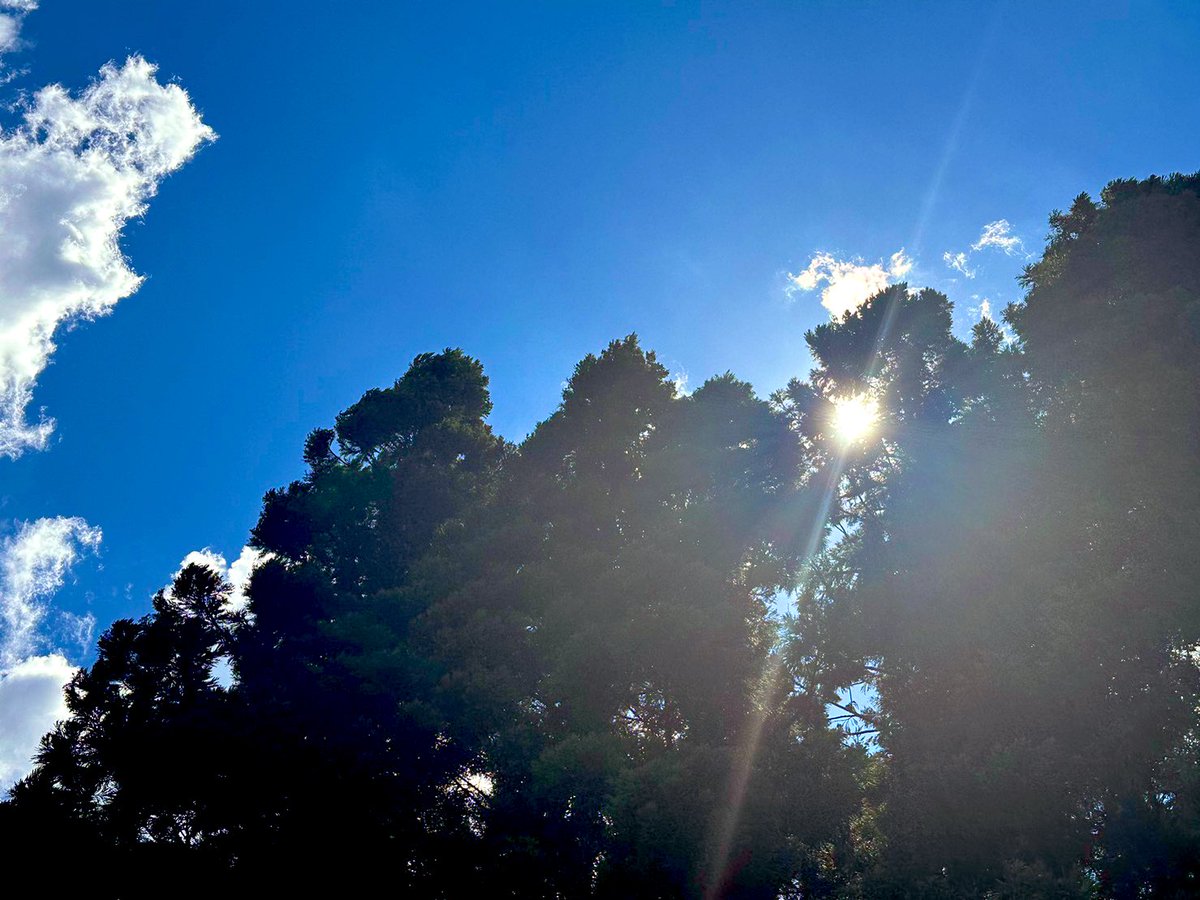 omochibiyori1's tweet photo. 阿賀町本日も危険な暑さ🌀😵‍💫🌀
ちょい太陽☀️と話しを付けに行ってきます⛱️
#阿賀町
#おもちびより
#パラソル
#暑い町
#ROUTE49 https://t.co/6h7CB3fqTi
