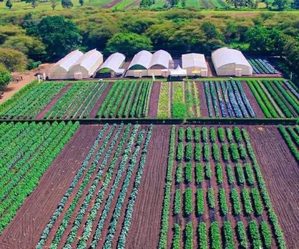 Agrinsiderhq's tweet photo. The future of rural farming in After is here. https://t.co/p4HziPIVml