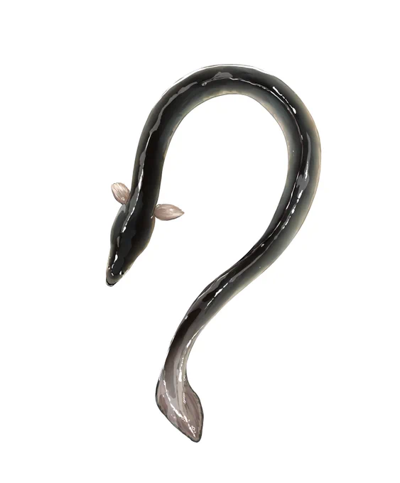 ここにウナギがあるじゃろ?wwwこれを、こうして…こうじゃwwwwww 