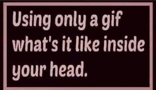 SteelCityTeacher tweet media