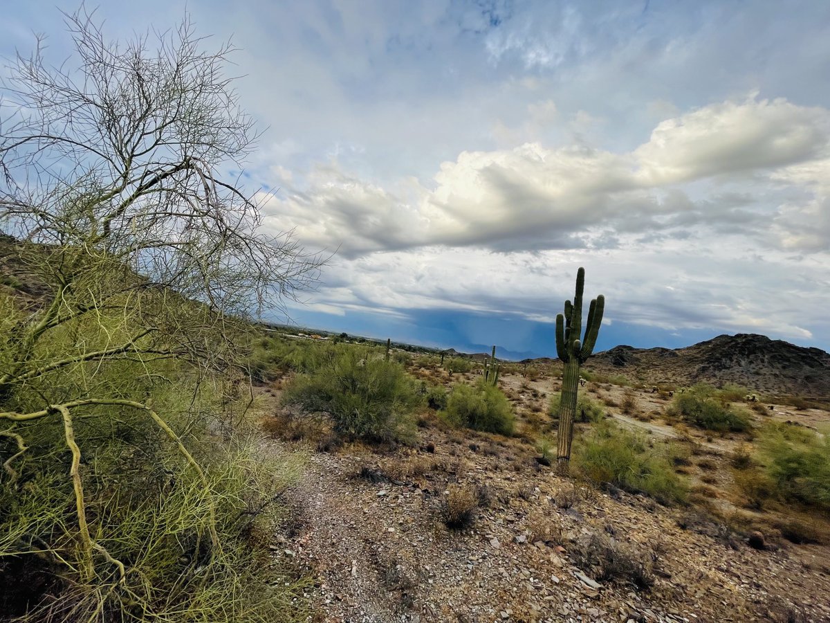 Nathan Comerford tweet media