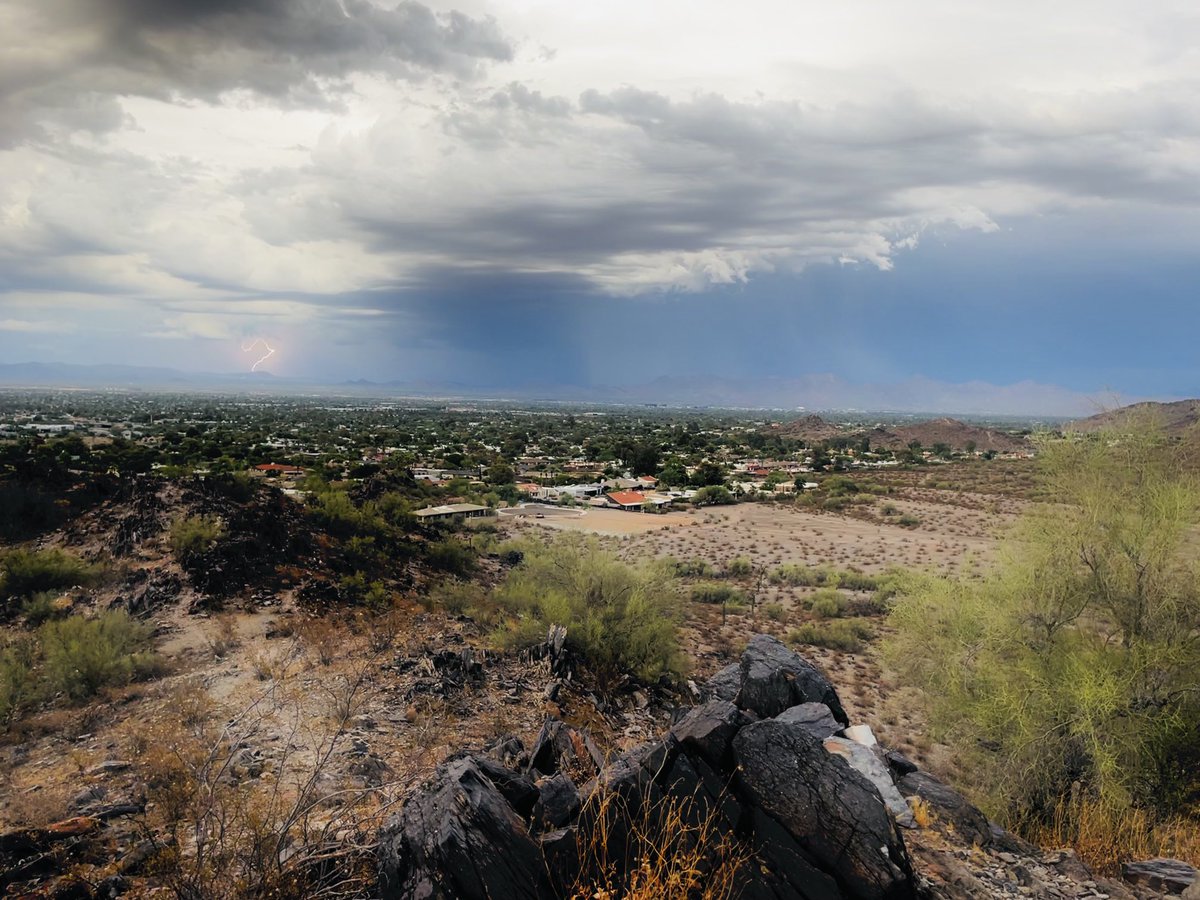 Nathan Comerford tweet media