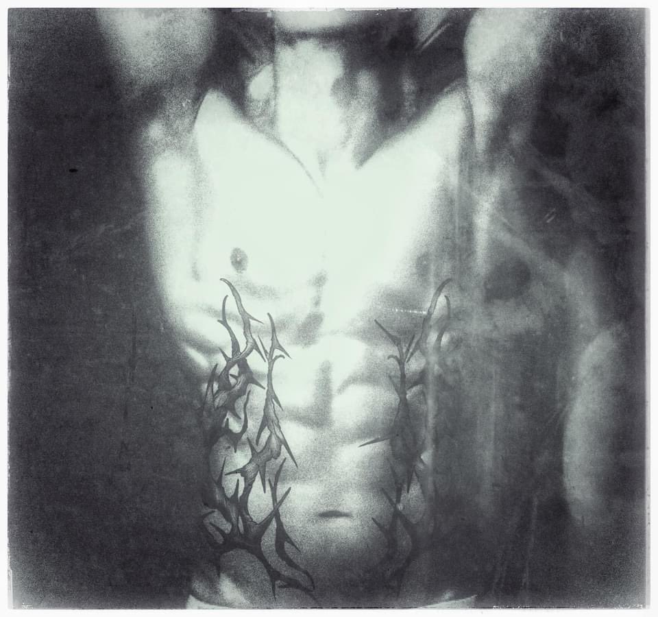 Hellsea_H's tweet photo. I love tattooing thorns https://t.co/ktbbzIjfXy