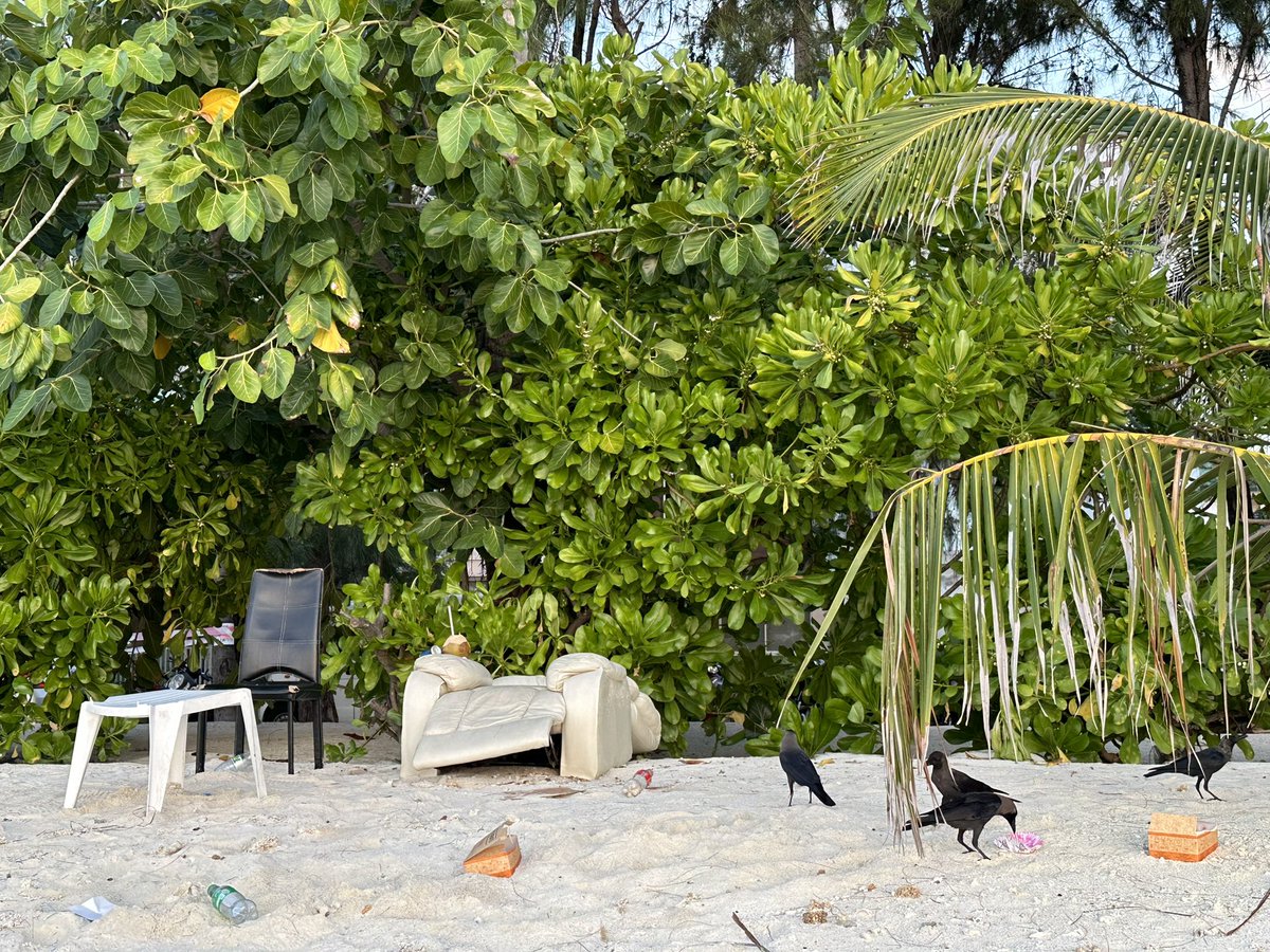 Message is well clear from this kid although it end up in trash just like we trash and destroy only home , only planet there is .kid wants our planet in its authentic glory but what do we give for their future , destruction , trash? <a href="/hdcmaldives/">Housing Development Corporation</a> <a href="/presidencymv/">The President's Office</a> <a href="/MDPSecretariat/">MDP Secretariat</a>