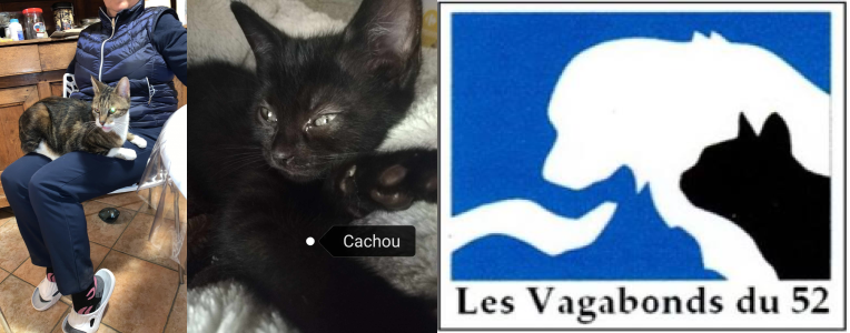 Reseau Adoption tweet media