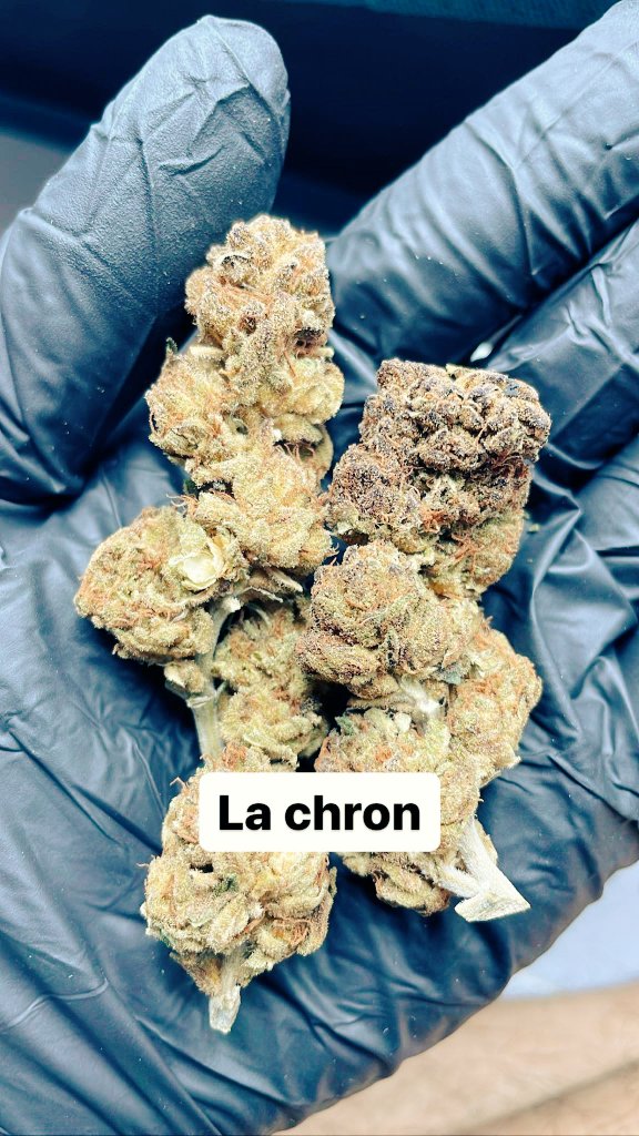 NongflukN's tweet photo. La Chron
Sativa 60%
Indica 40%
THC 23-25%
ค่าสินสอด 
1 ใบแดง 4ใบเขียว
1️⃣8️⃣0️⃣/G
มีเก็บปลายทางครับ
Effect of Og LaChron
ให้ความรู้สึก เมาสบายๆ เหมาะใช้ทำงาน หรือ ใช่กลางวัน สมองจะแล่นไปกับการทำงานมาก เมาตึบสไตล์Sativa สำหรับคนที่ต้องใช้ความคิดทำงานแนะนำครับ 
#กัญชาog #กัญชาออแกนิค https://t.co/6VlQuFMr5p