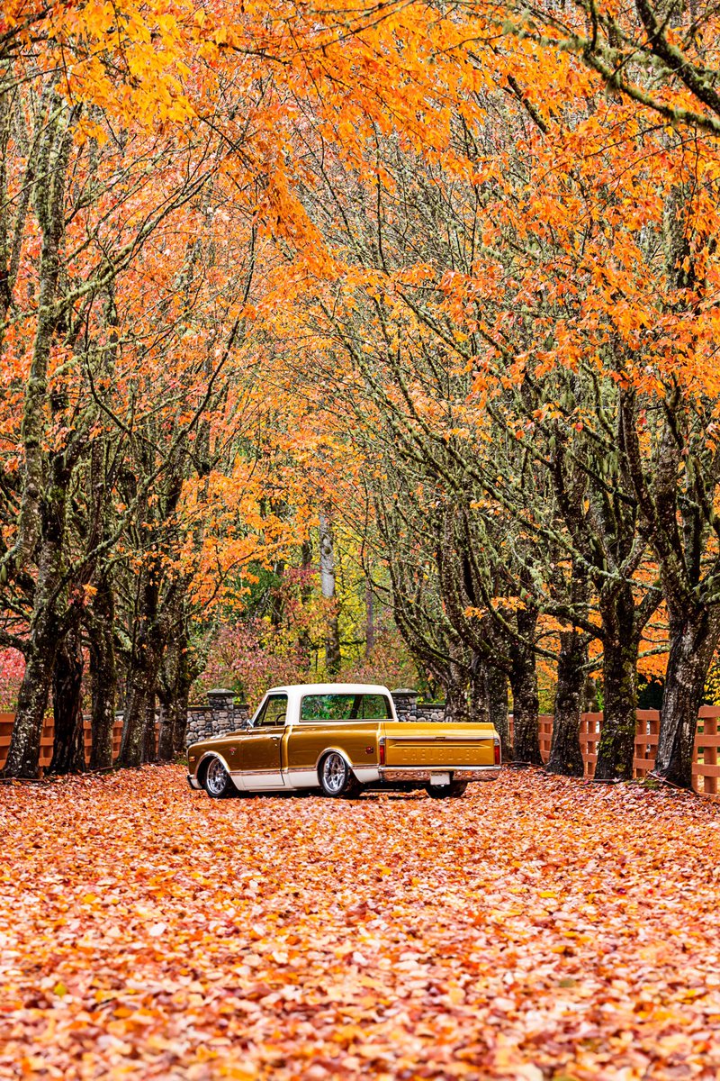 Bunker3rd's tweet photo. Ready for the fall.
#chevrolet #chevyc10 #fall https://t.co/l2EfbVl1zS