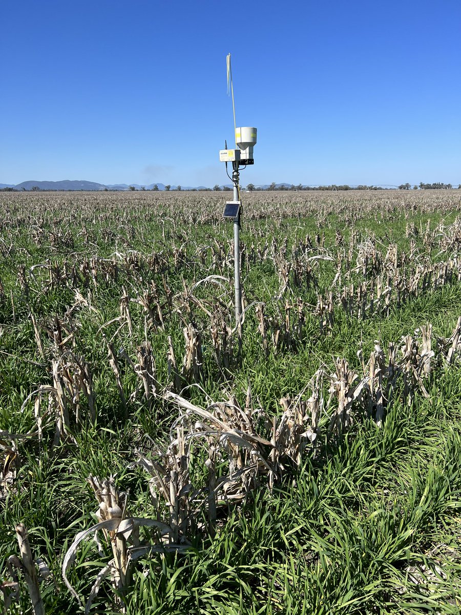 Porosity Services tweet media