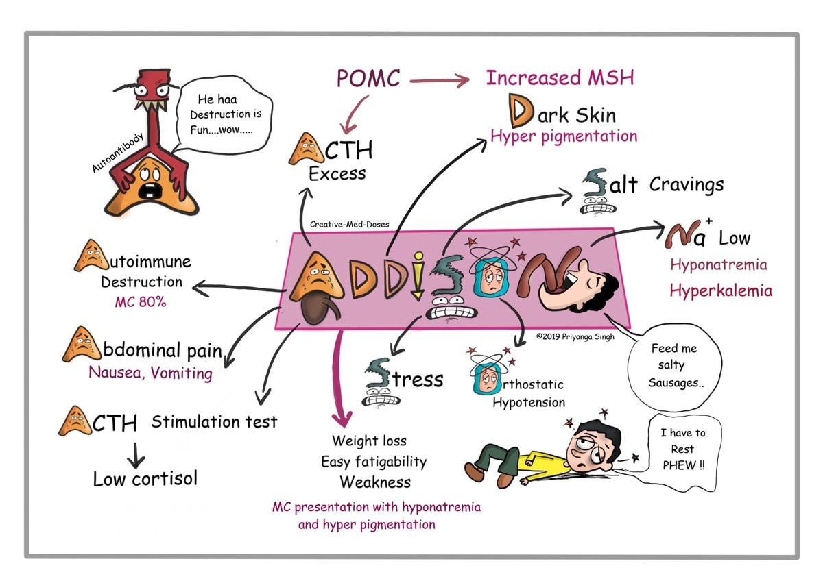 diabetes_clin's tweet photo. #Adrenal #hormone and a #neurotransmitter found in #vertibrates and #protozoans. They are also produced at the ends of #sympathetic #neurons as #chemical #mediators for conveying the nerve impulses to effector organs. https://t.co/gQR6T4p2Lw