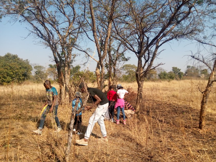 TreeKnowers's tweet image. This might not be the perfect time to plant trees but its the perfect time for seed collection. Yesterday, the Tree knowers with their "future generation" were collecting seeds to increase our seedbank.

#treeknowersandgrowers
#seedcollection #seedbank #plantingtrees #seeds