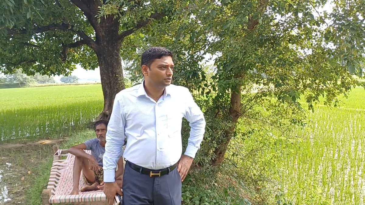 DM अवनीश कुमार सिंह ने किसानों से धान की रोपनी के सम्बन्ध में ली जानकारी, इस दौरान DM ने झाझा और गिद्धौर प्रखंड के कई जगहों का किया भ्रमण, साथ ही कृषि पदाधिकारी, कृषि समन्वयक ,कृषि सलाहकार समेत अन्य कृषि विभाग के अधिकारियों को लगातार निरीक्षण कर प्रतिवेदन देने का निर्देश दिया.