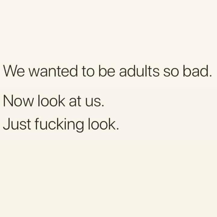 Good morning you bunch of randoms.. Bertie’s… and Bertesses’ 
We did indeed.. wanted to be adults.. and what a fine bunch we’ve turned out to be 😂😂😂
#HappyTuesday #MakeItCount #BeKindAlways #EnjoyTheMoments