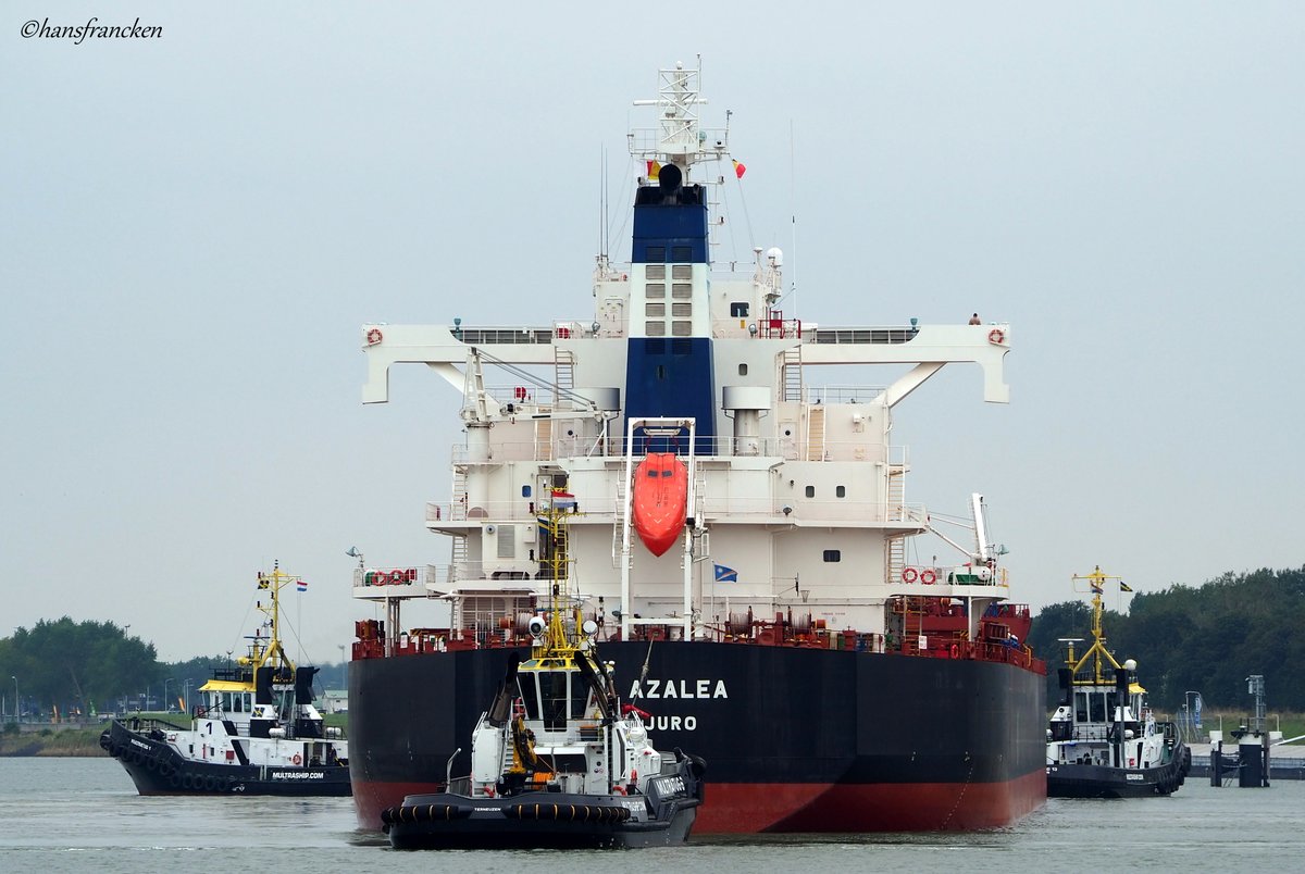 HFrancken's tweet photo. Valet Parking maritieme stijl. 3 slepers van #Multratug houden een grote bulker op haar plek voor de sluis #Terneuzen https://t.co/I5beTQHJAY