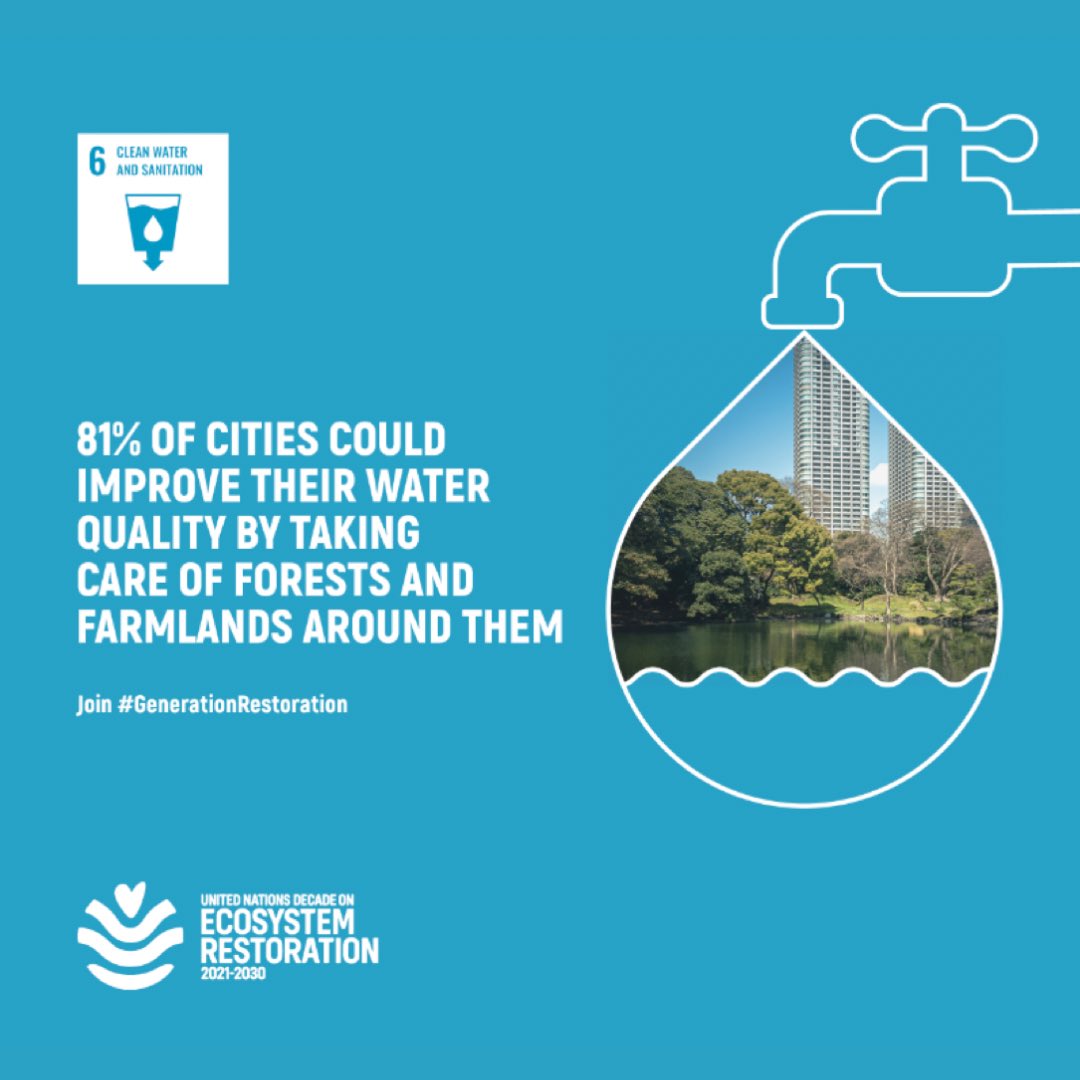 UNEP's tweet image. Since 2000, the number of city inhabitants without access to safe drinking water has increased by over 50%.

Restoring wetlands &amp;amp; riverine areas is critical to improving water quality.

decadeonrestoration.org/types-ecosyste…

#GenerationRestoration #WWeek