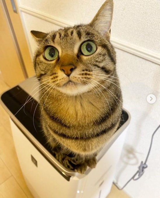 Landon🦕 tweet media