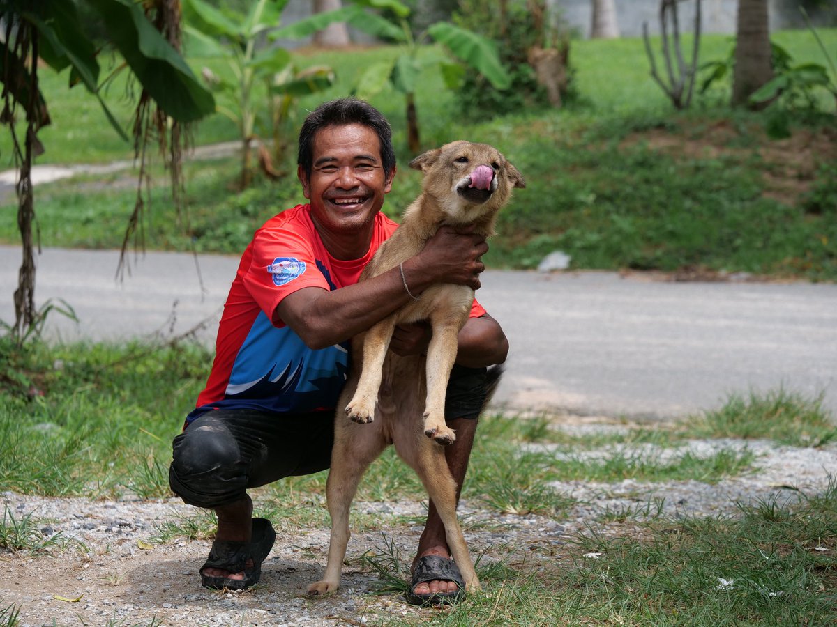 tmtrdorg's tweet photo. As well as housing 750 dogs in our sanctuary, we also feed around 400 dogs every day in our neighborhood

This is extremely important because it allows us to keep an eye on the dogs, monitoring their health, and helps us to determine where to focus the efforts on our spay and neuter campaigns.

https://t.co/RqU7XiDU0e