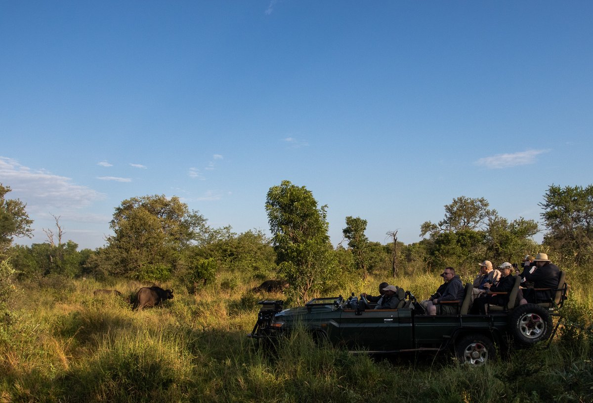 Front-row seats to awe-inspiring wildlife encounters are a guarantee for our cherished guests. Every moment becomes a captivating spectacle. We're eager to hear from you – which unforgettable wildlife encounter left an indelible mark on your stay with us?
