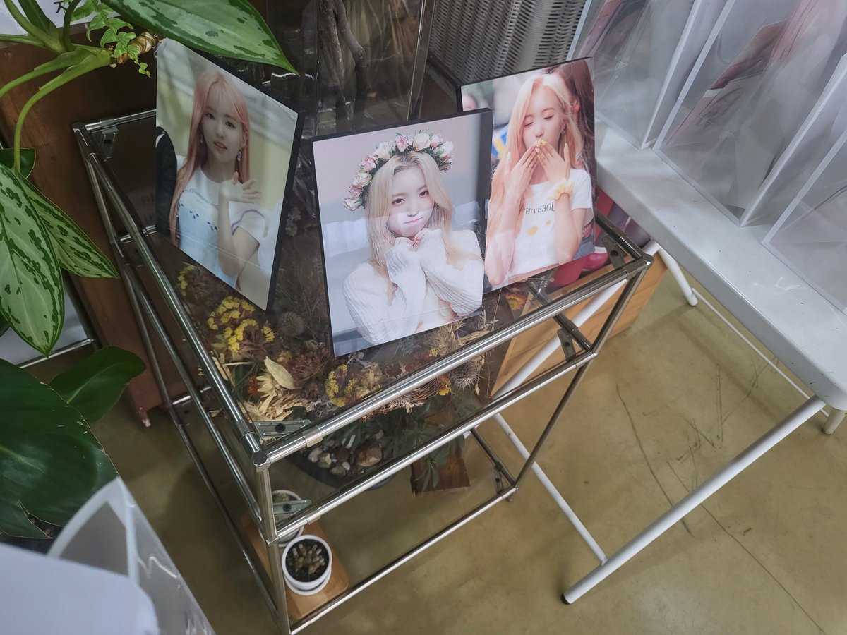 kep1ove0000's tweet photo. 📍플라워 서화
예서를 위한 꽃들이 많았습니다. 저도 꽃 한송이 선물하고 싶었지만 이미 다녀갔다더군요 ㅎㅎ 예서가 행복해하며 봤을겁니다.
#OUR_PINK_LEMONADE
#우리들의핑크레모나이드_예서
#我所钟爱的粉色柠檬汁 https://t.co/iLo1BDPWNT