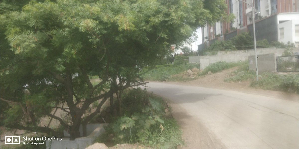 vicviv87's tweet photo. @PMCPune @mohol_murlidhar @CPPuneCity @suniltingre 
Need your prompt attention for speed breaker and road edge safety barricades.. https://t.co/zcgimjHCtU