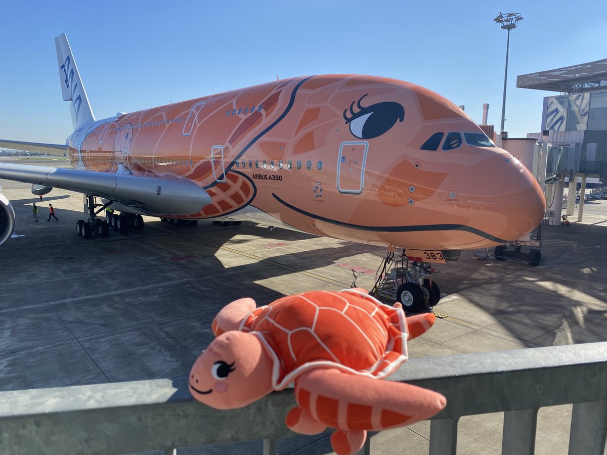 ANAは成田～ホノルル線にエアバスA380型機「FLYING HONU」の3号機