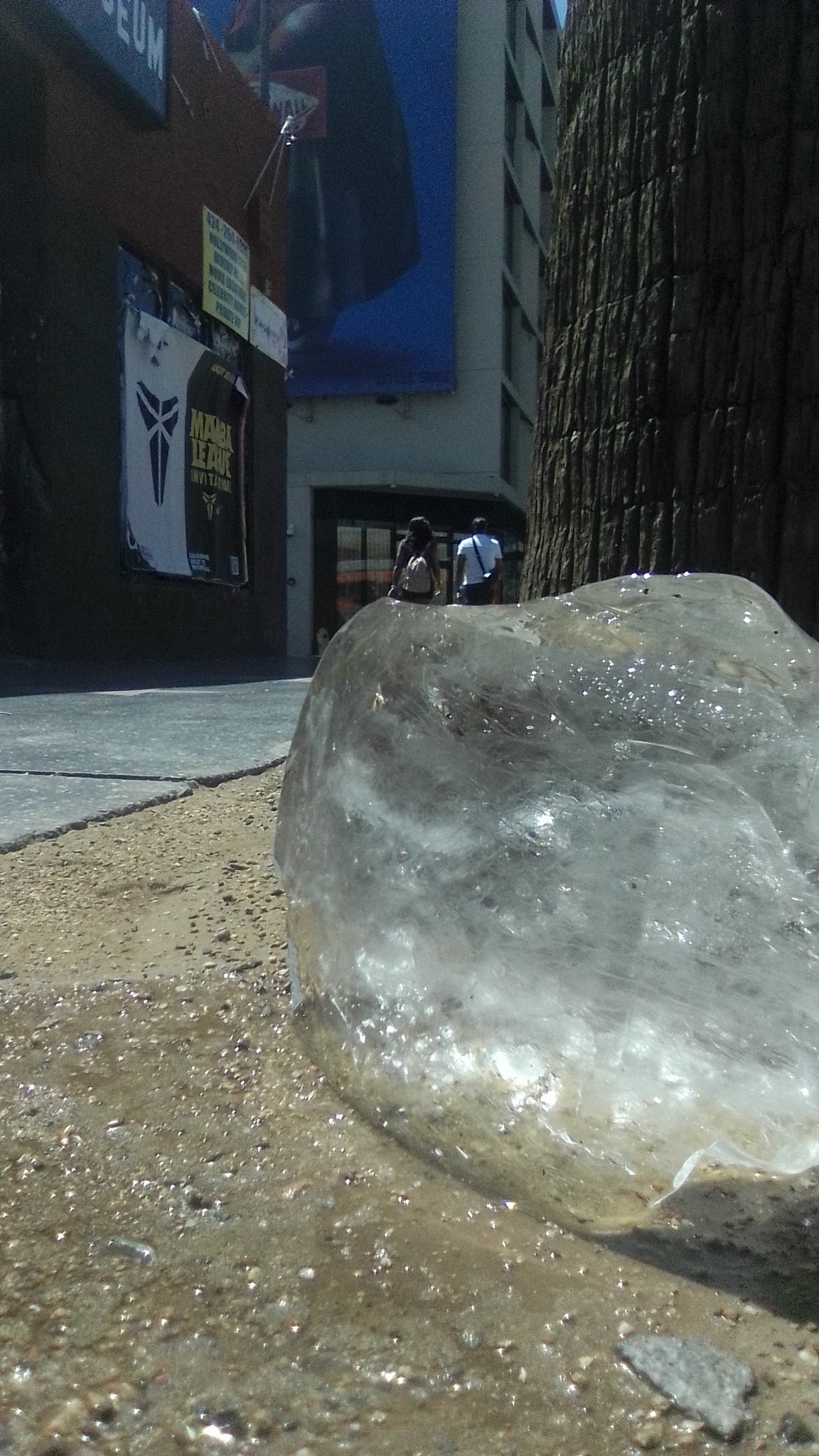 HollywoodIce