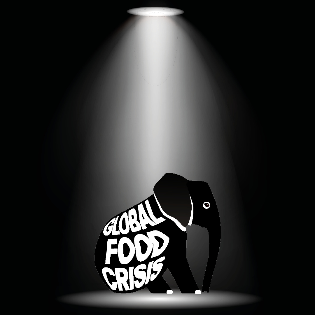 paulnewnham's tweet photo. It's outrageous that 735 million of our fellow global citizens are going hungry.

This #elephantintheroom can no longer be ignored.

Alongside #climate activists, anti-poverty campaigners and chefs, I’m calling upon leaders meeting at #UNGA to take action to end the #globalfoodcrisis.

More👉 https://t.co/DiergYfiq3