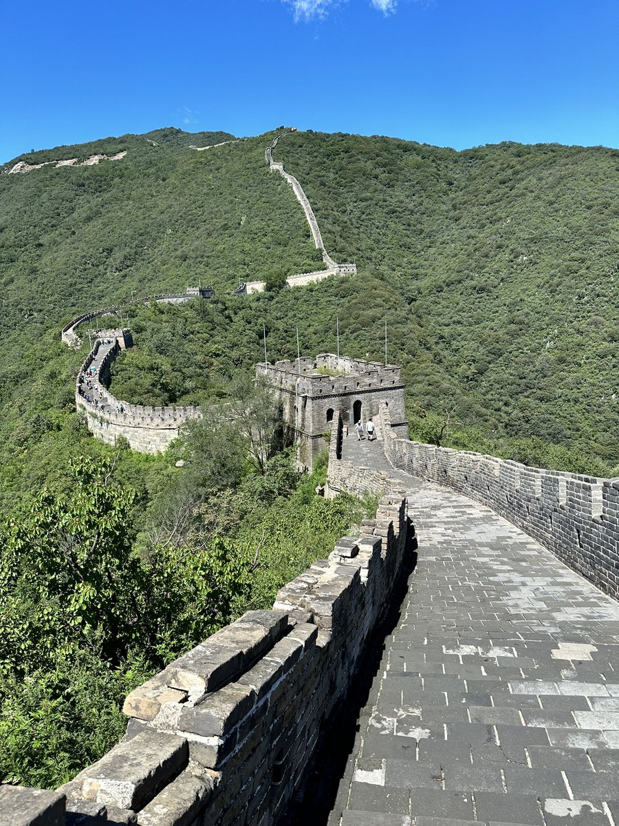 Luigi Farrauto tweet media