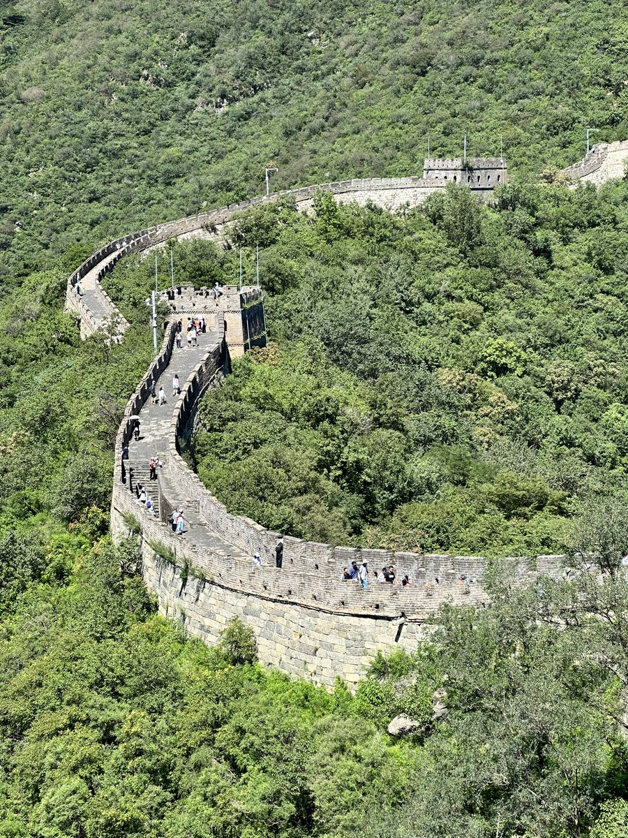 Luigi Farrauto tweet media