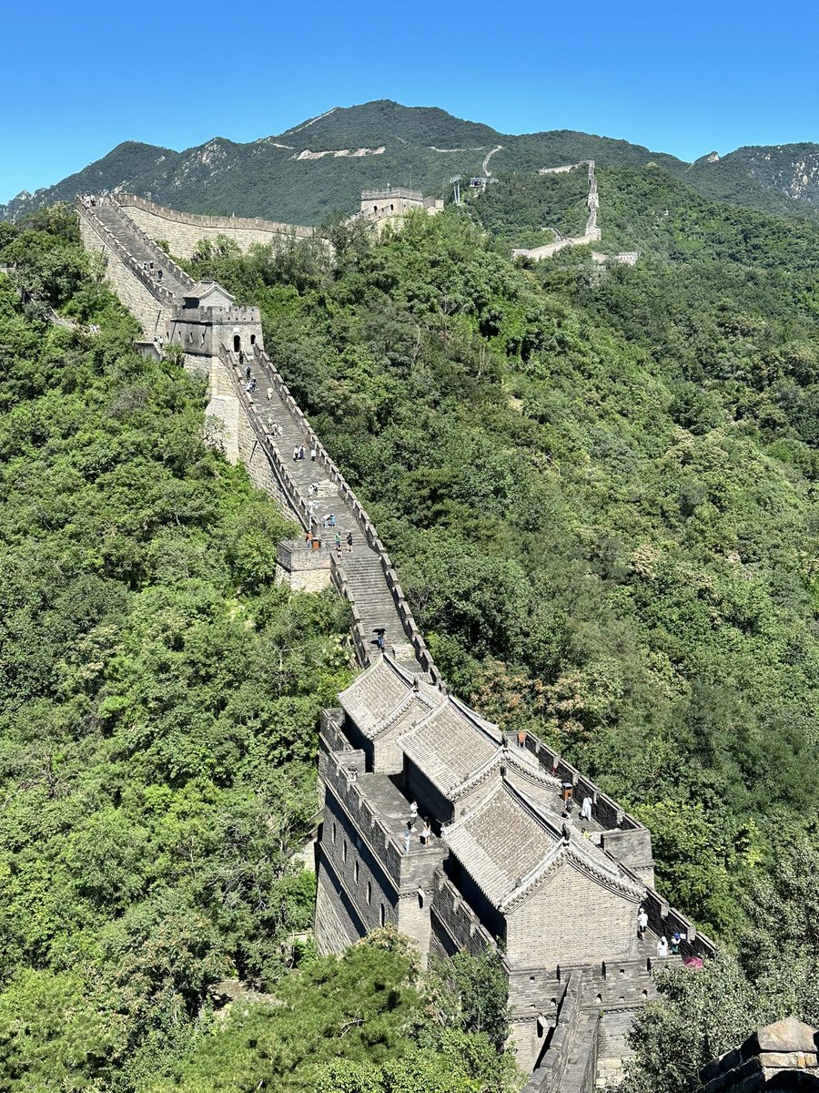 Luigi Farrauto tweet media