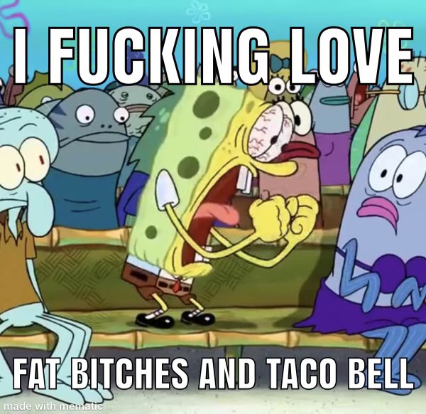 RioRowdyRaiders's tweet photo. @tacobellindia https://t.co/x87uPI93Dx