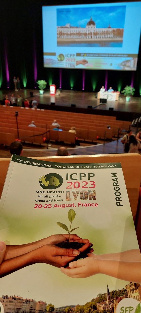 Marta Orero (@orerobayo) on Twitter photo We are ready for the second day!! #ICPP2023 <a href="/maria_manresa/">MarΓa Manresa Grao</a> <a href="/pibgroupIR/">Plant Immunity and Biochemistry</a> We are ready for the second day!! #ICPP2023 <a href="/maria_manresa/">MarΓa Manresa Grao</a> <a href="/pibgroupIR/">Plant Immunity and Biochemistry</a>