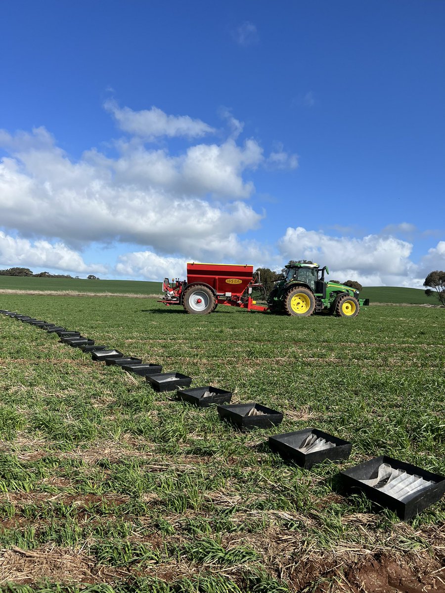 Hamstrings are about to tear.