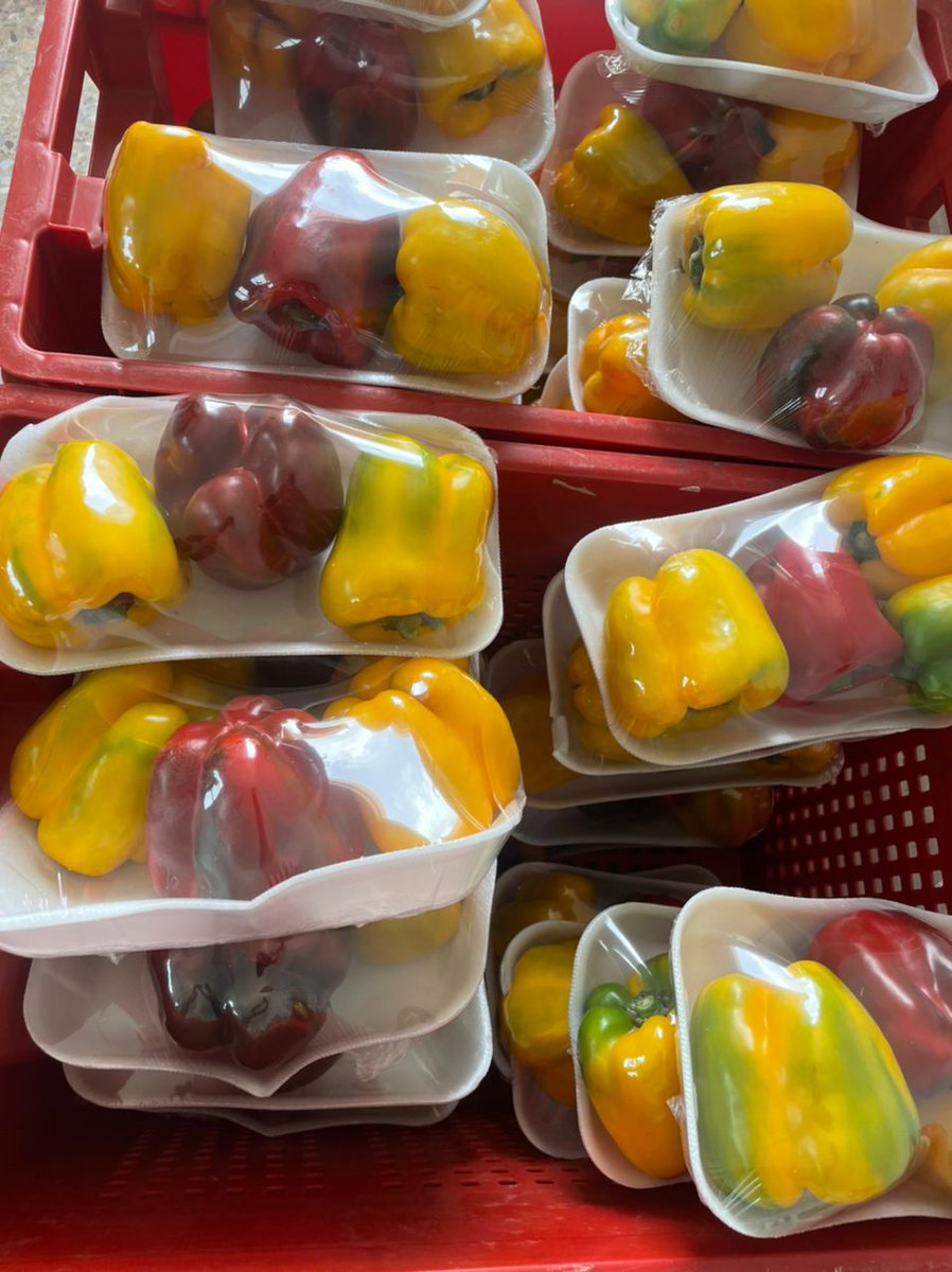 Charles Agyeman tweet media