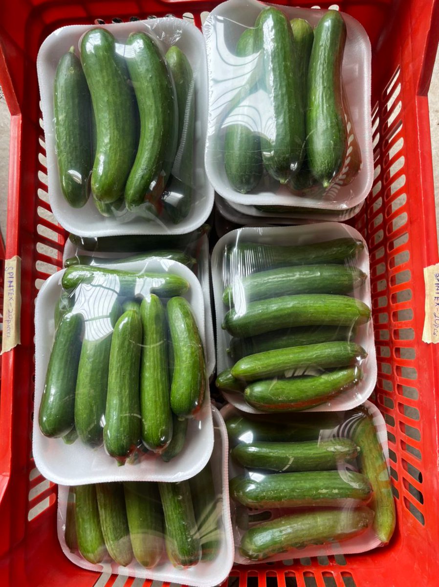 Charles Agyeman tweet media