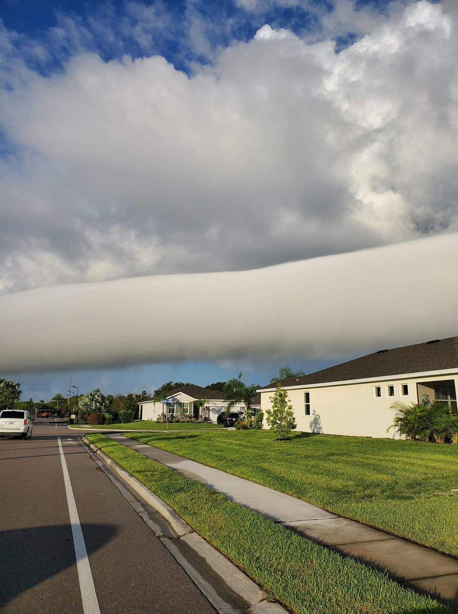 PaleRider_505's tweet photo. Seeding is fun, they said.
🤯 Rare "roll cloud" spotted in Florida this week, pictured here in the Tampa Bay area.
These tube-shaped clouds roll because of a difference in speed and direction of the wind with altitude.
📸: Alan Weber
#FloridaScanner https://t.co/UlcGL4h6cj