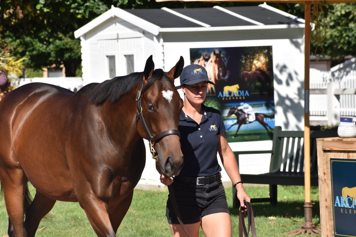 Arcadia Elevage tweet media