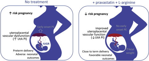 Neurosciencean3's tweet photo. #Pravastatin use in #pregnancy improves #child #neurodevelopmental outcomes 
Read more: https://t.co/dHuXuYQyl3 
share your paper on: https://t.co/VPdeczpmcL 
#npoa 
#manuscript 
#reseach 
#Neurodevelopment https://t.co/EpkTg3yLcv