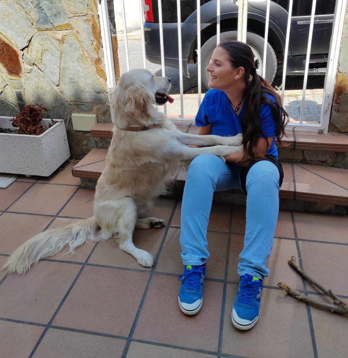 AASDiscan's tweet photo. Un perro de asistencia necesita una selección que no se puede hacer en un día y un entrenamiento que no se puede hacer en dos semanas. 

Porque cuando #adoptas un perro, lo primero que tienes que hacer es dejarle ser perro. https://t.co/MTGYGzMsmu