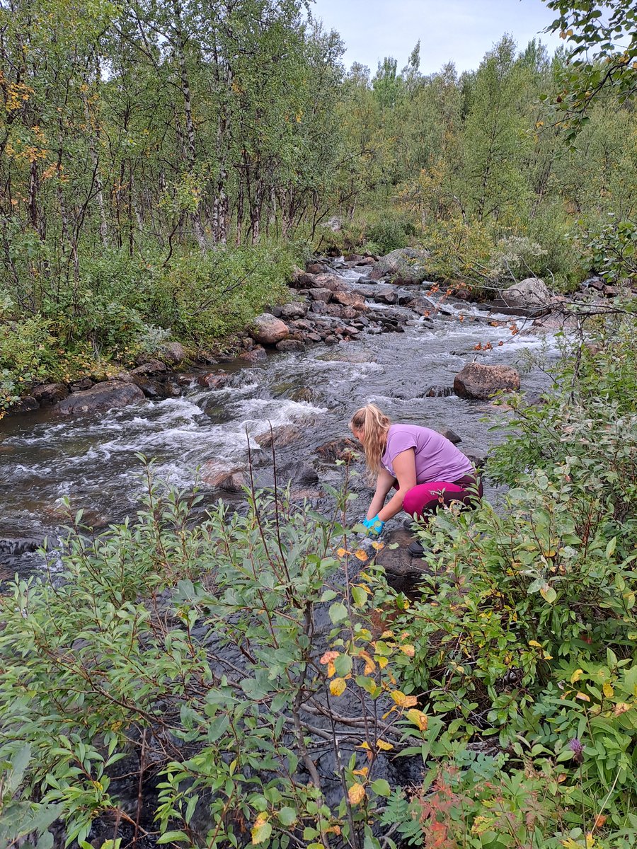 DAFNE-22 continues fieldwork in Kiruna. In addition to flying around with a drone we also collect water samples for chemical and isotope analysis and do field measurements (T, pH, electrical conductivity). #ActiveFault #hydrogeology