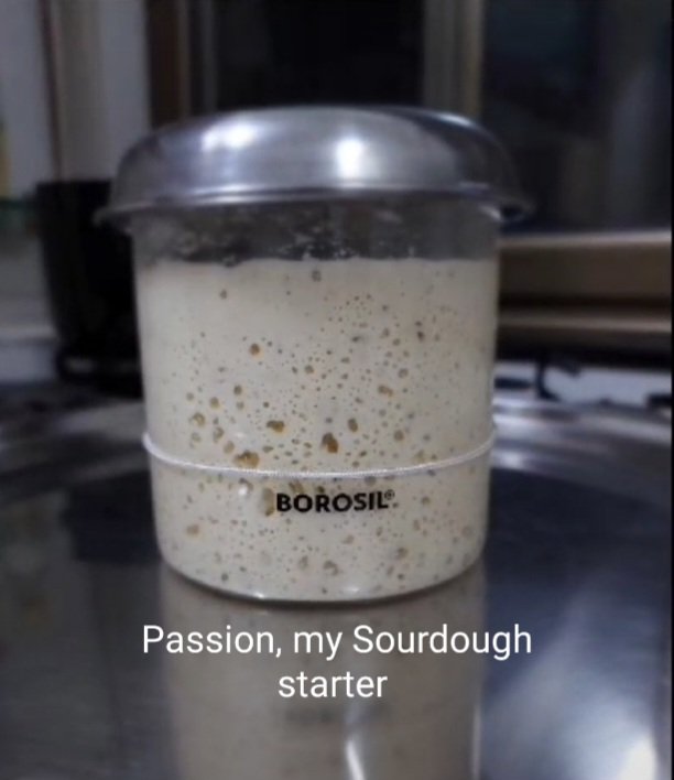 gauripokhariyal's tweet image. Feeding my passion to unlock the magic of Sourdough baking! 
#GaurisThoroughBreads
#Sourdough #RealBread #Baking #Artisanbreads #Pune
