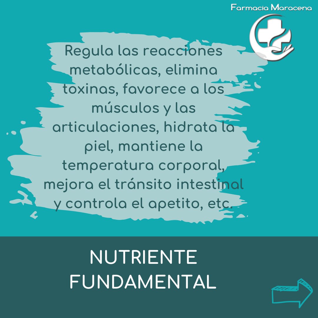 fciamaracena's tweet photo. El agua es esencial para nuestro organismo, ya que cumple diversas funciones vitales en él.
 ¡Mantente hidratado este verano y cuida tu salud! 💧

Recuerda que en Farmacia Maracena contamos con servicio de nutrición, ¡consulta con nosotros! https://t.co/Ul1wHeOaYn